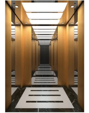 Drveno zrno Bukva Ogledalo Putnički lift od nehrđajućeg čelika